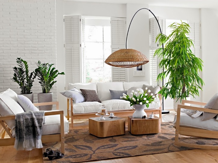 Aprende a organizar las plantas en tu hogar