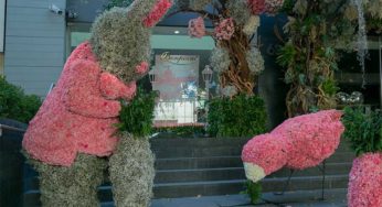 Asiste al Festival de Flores y Jardines 2019