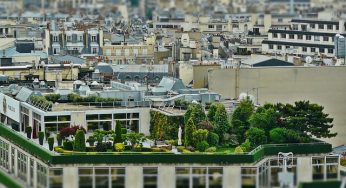 Un roof garden le dará un toque verde a tu azotea