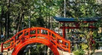 Tres parques para visitar en la CDMX