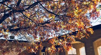 5 Ideas para decorar tu casa en el otoño