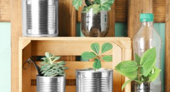 ¿Cómo decorar tu hogar con materiales reciclados?