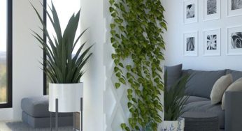Columnas decorativas