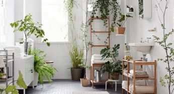 Plantas en el baño, múltiples beneficios