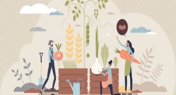 ¿Ya conoces los biofertilizantes? Úsalos en tu huerto