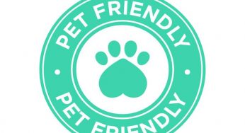 ¿Aún no rentas tu casa? Ser Pet Friendly puede ser la solución