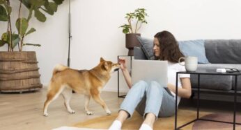 Invierte en un una vivienda pet friendly