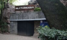 Chapultepec estrena ‘Nocturnario’, ¡visítalo!