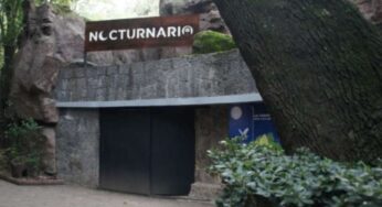 Chapultepec estrena ‘Nocturnario’, ¡visítalo!